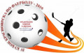 IV CUP