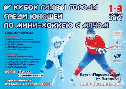 kubok Glavi 2014