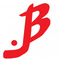 Vimpel logotip