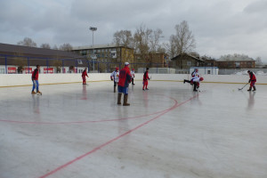 hockey 280215 1